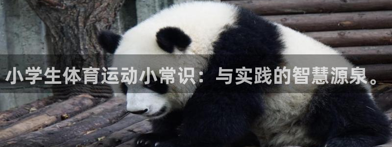 意昂3招商：小学生体育运动小常识：与实践的智慧源泉。