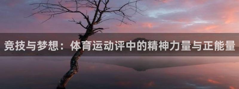 意昂3电子有限公司：竞技与梦想：体育运动评中的精神力量与正能量