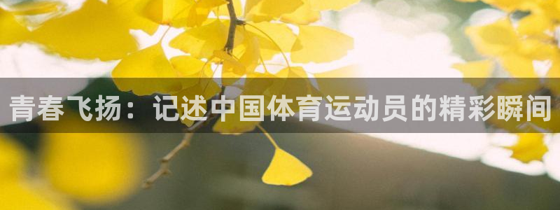 意昂3招商：青春飞扬：记述中国体育运动员的精彩瞬间