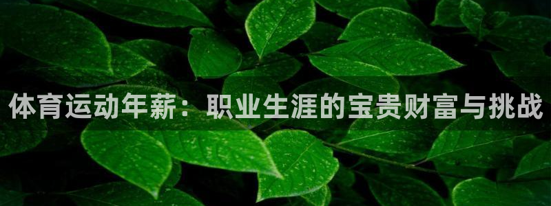 意昂3：体育运动年薪：职业生涯的宝贵财富与挑战