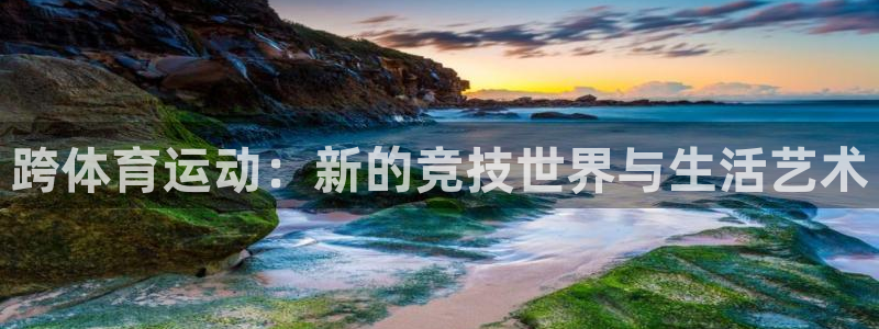 意昂3平台招商：跨体育运动：新的竞技世界与生活艺术