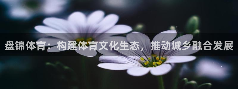 意昂3体育凯捷登陆：盘锦体育：构建体育文化生态，推动城乡融合发展