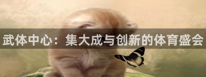 意昂3体育凯捷平台招商：武体中心：集大成与创新的体育盛会