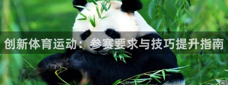 意昂34代理：创新体育运动：参赛要求与技巧提升指南