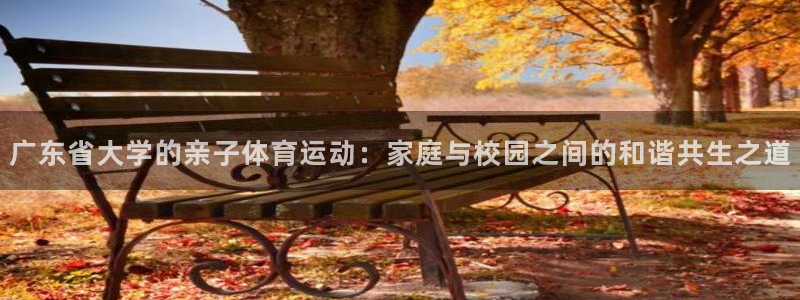 意昂33官网：广东省大学的亲子体育运动：家庭与校园之间的和谐共生之道