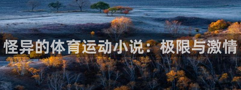 意昂32登录：怪异的体育运动小说：极限与激情