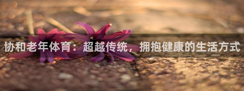 意昂3招商：协和老年体育：超越传统，拥抱健康的生活方式