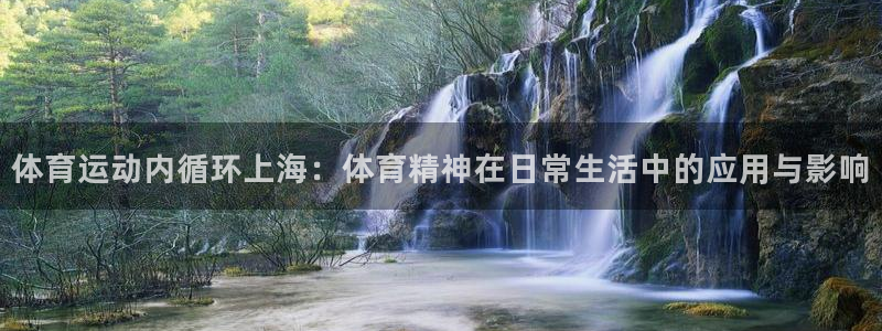 意昂3体育官网：体育运动内循环上海：体育精神在日常生活中的应用与影响