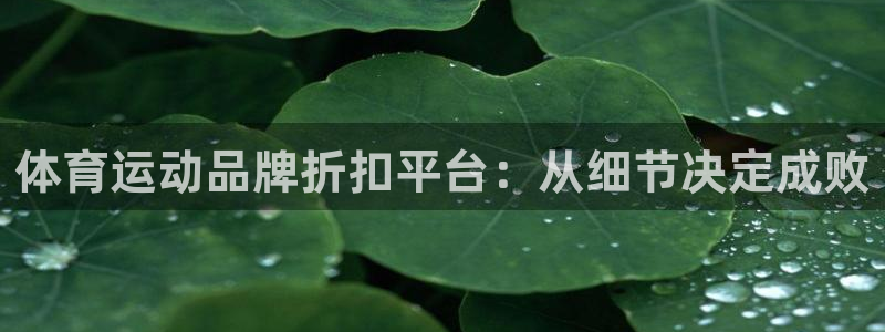 意昂3体育官网：体育运动品牌折扣平台：从细节决定成败
