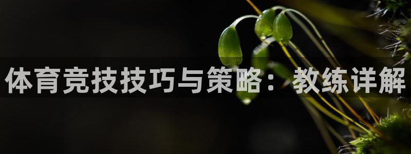 意昂32体育登录入口：体育竞技技巧与策略：教练详解