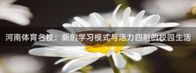 意昂3代理：河南体育名校：新的学习模式与活力四射的校园生活